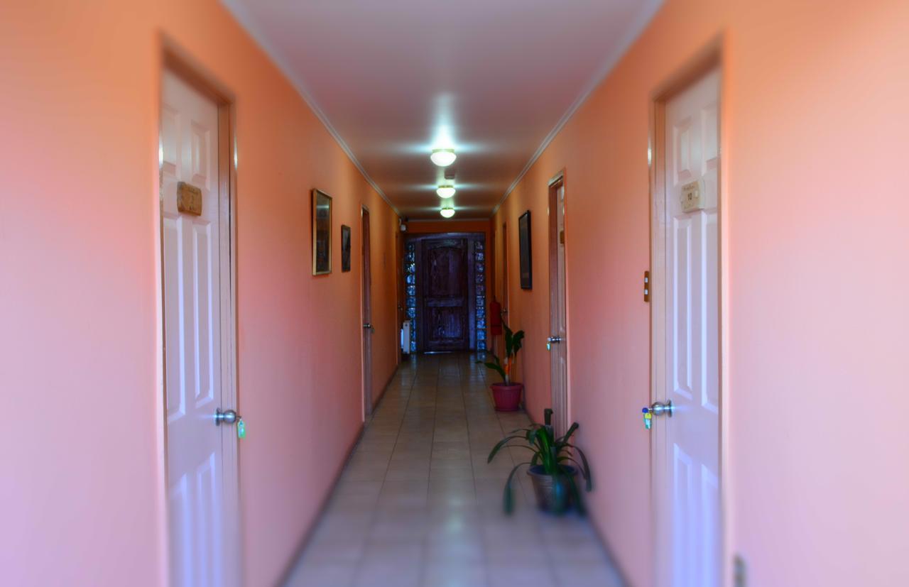 Hostal Aventura Austral Punta Arenas Exterior foto
